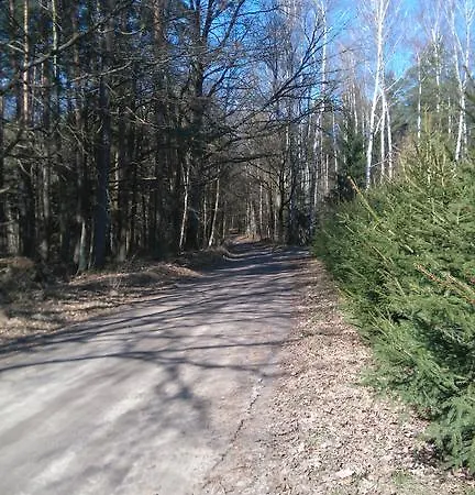 ホームステイ Roltyp Pokoje