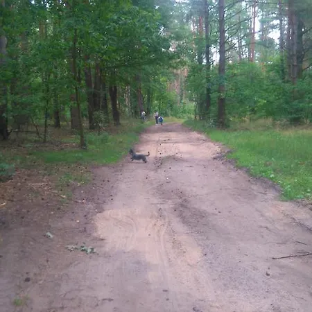 Roltyp Pokoje ホームステイ Gietrzwałd