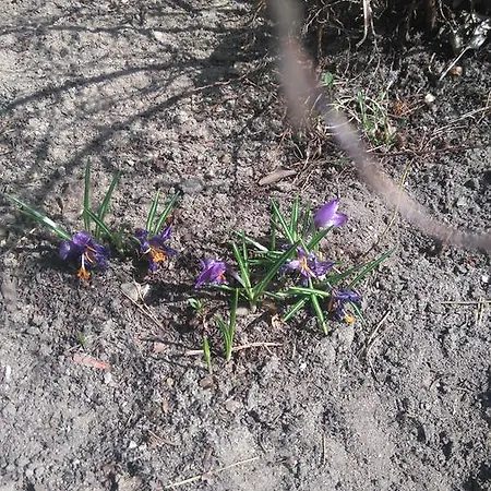 Roltyp Pokoje