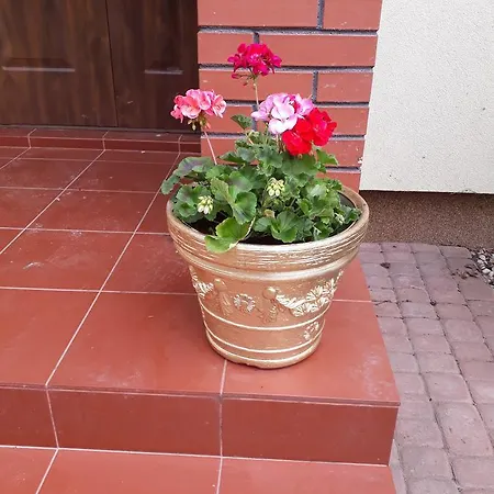 ホームステイ Roltyp Pokoje