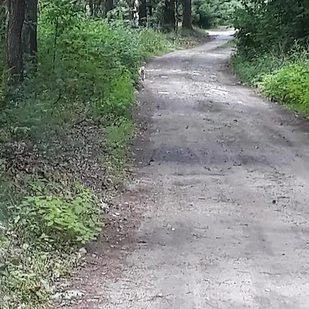 ホームステイ Roltyp Pokoje